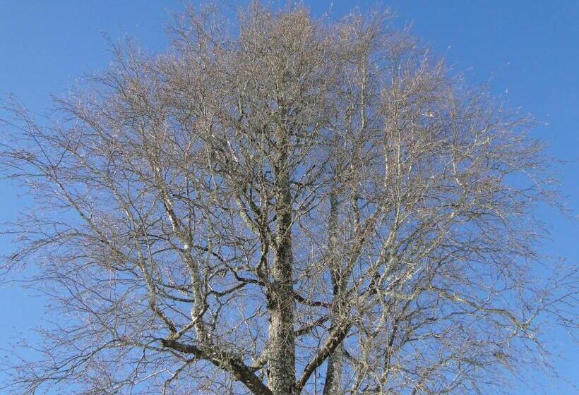 Sunne Hembygdsgård B&b