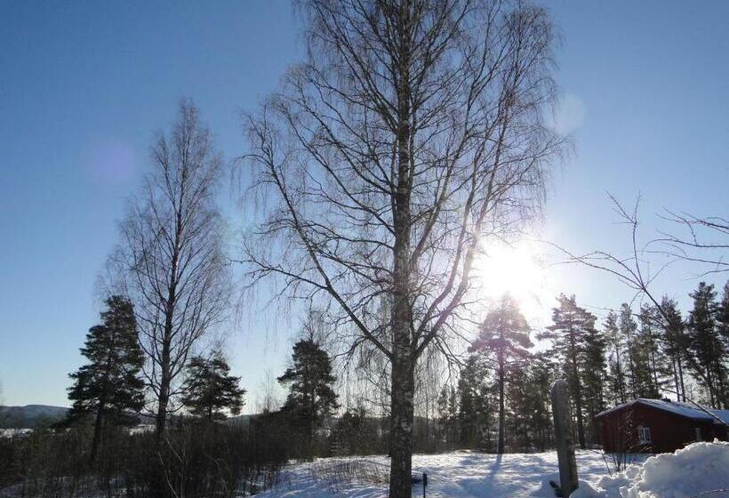 Sunne Hembygdsgård B&b