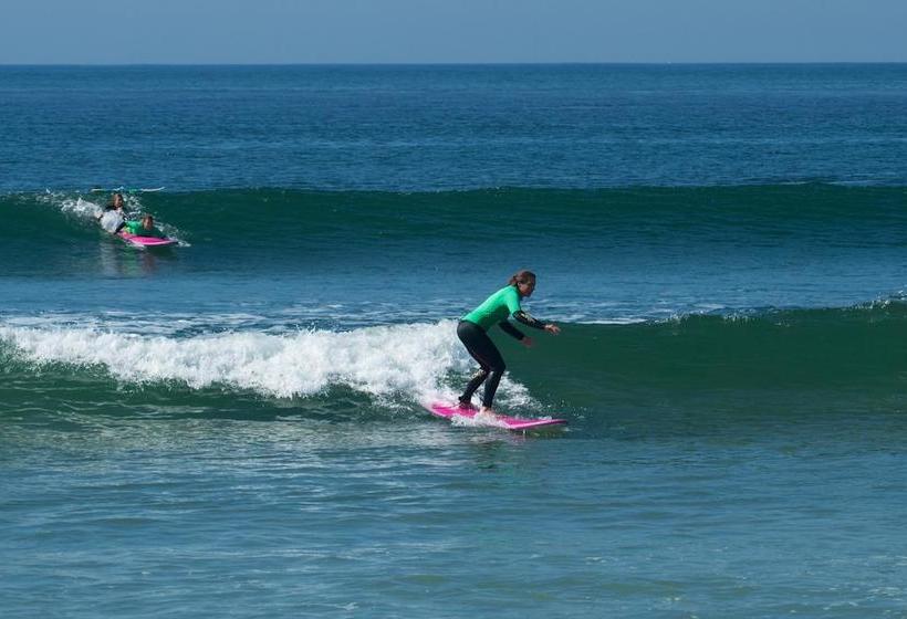Surfivor Porto Surf Hostel