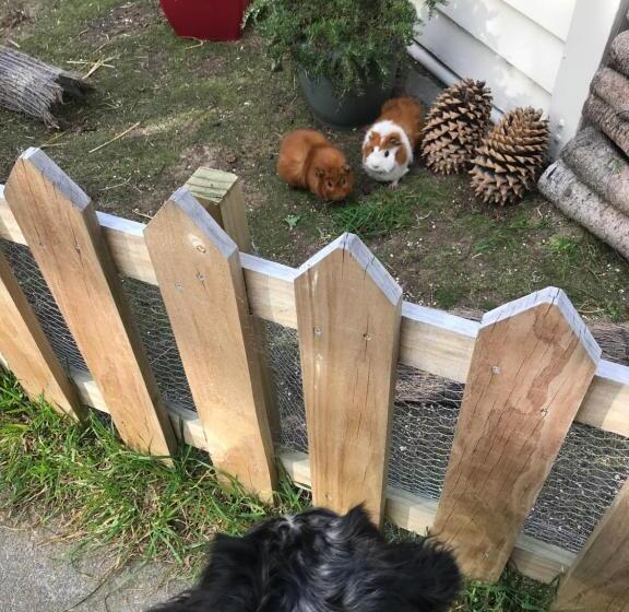 Tailor Made Tekapo Accommodation   Hostel