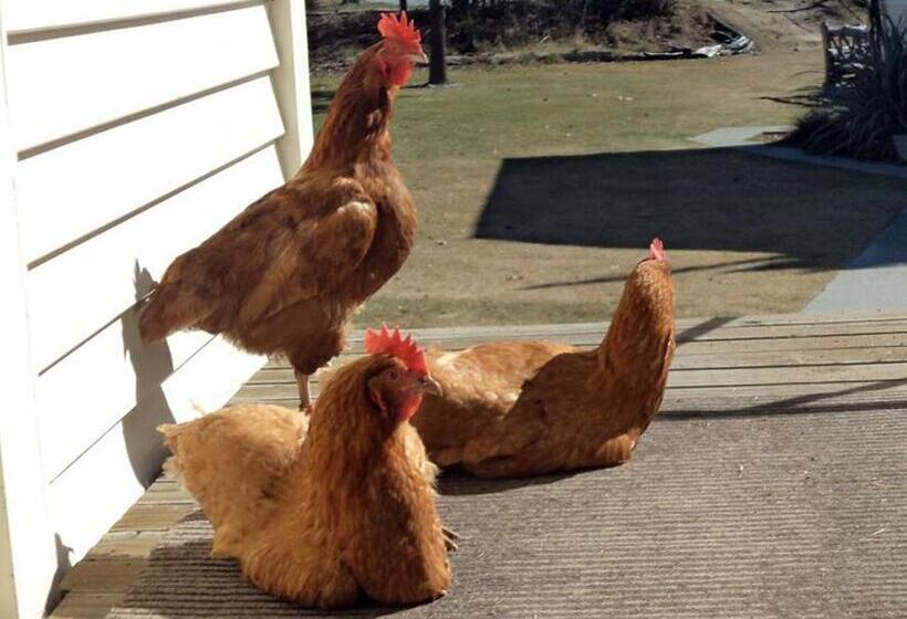 Tailor Made Tekapo Accommodation   Hostel