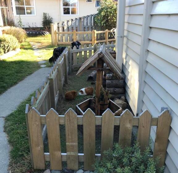 Tailor Made Tekapo Accommodation   Hostel