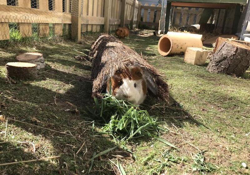 Tailor Made Tekapo Accommodation   Hostel