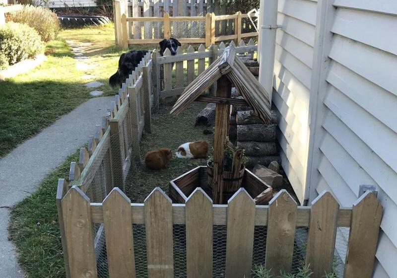 Tailor Made Tekapo Accommodation   Hostel