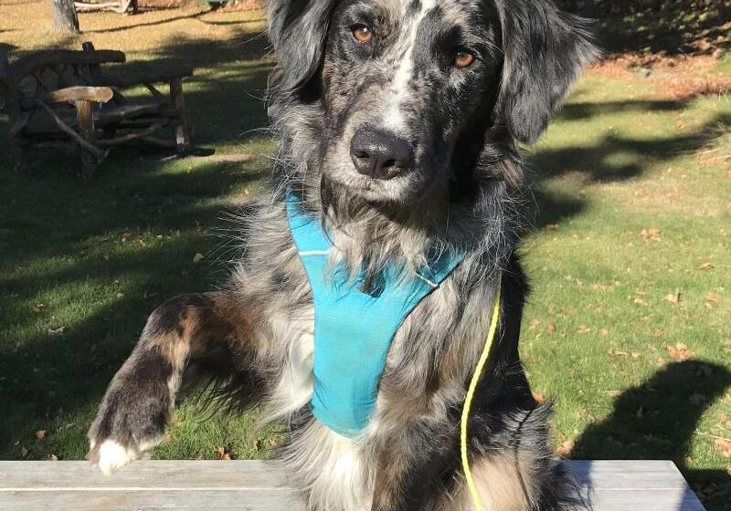 Tailor Made Tekapo Accommodation   Hostel