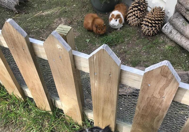 Tailor Made Tekapo Accommodation   Hostel