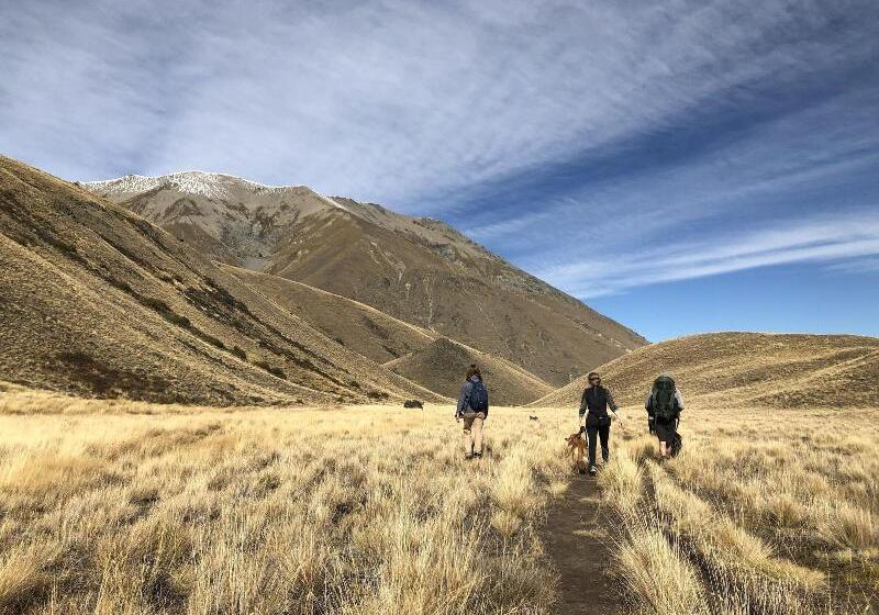 Tailor Made Tekapo Accommodation   Hostel