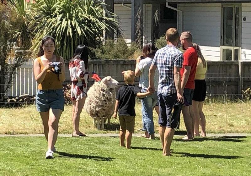 Tailor Made Tekapo Accommodation   Hostel