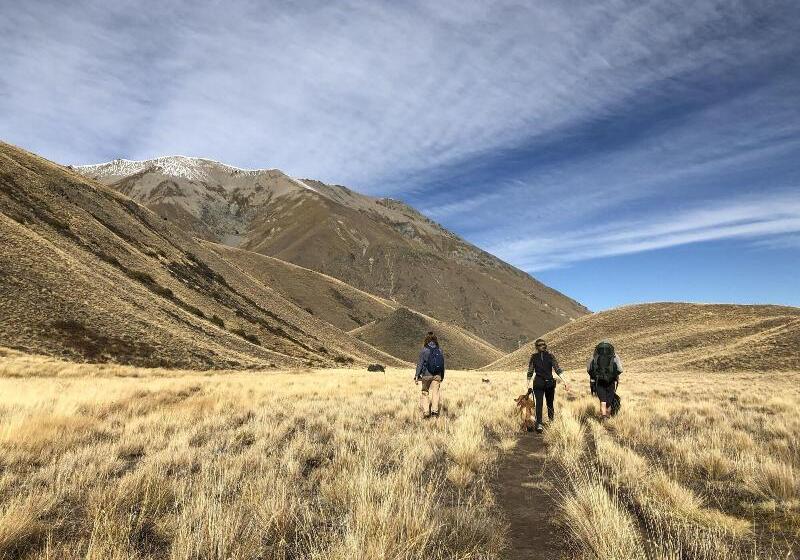 Tailor Made Tekapo Accommodation   Hostel