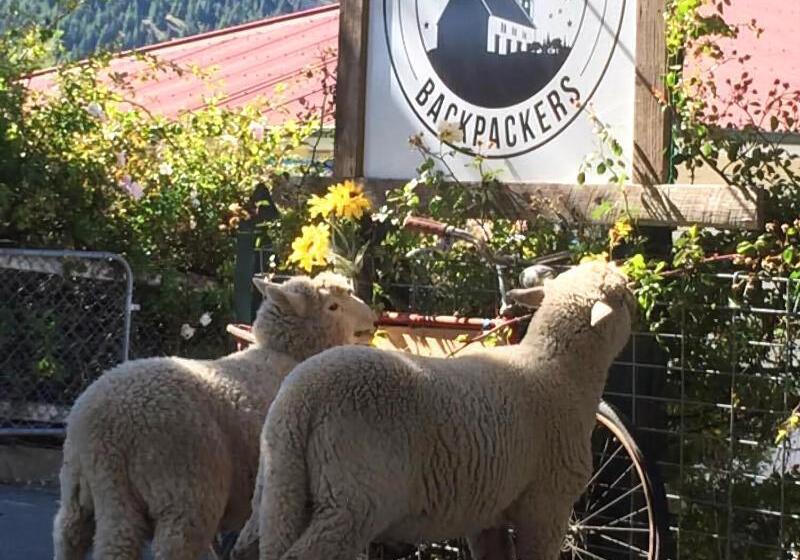 Tailor Made Tekapo Accommodation   Hostel