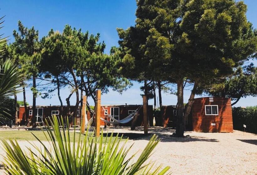 The Lighthouse Hostel