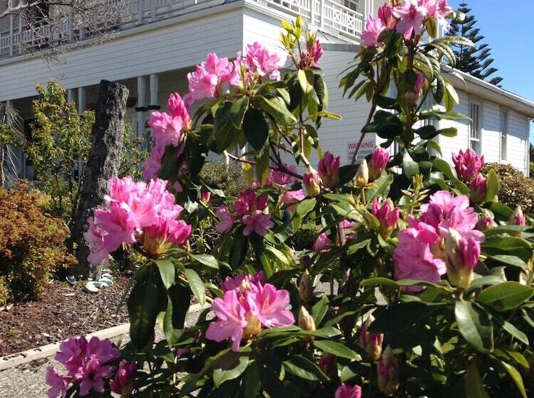 הוסטל Tripinn Motel & Share Accommodation