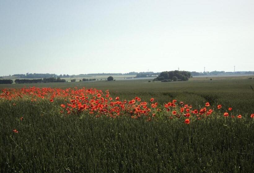 Vadstena Vandrarhem Hostel