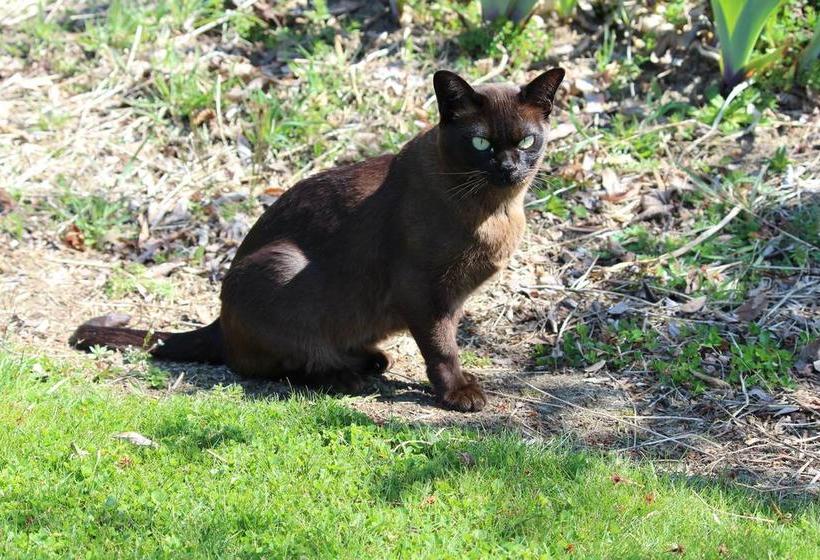 Wanaka Berry Farm And B&b