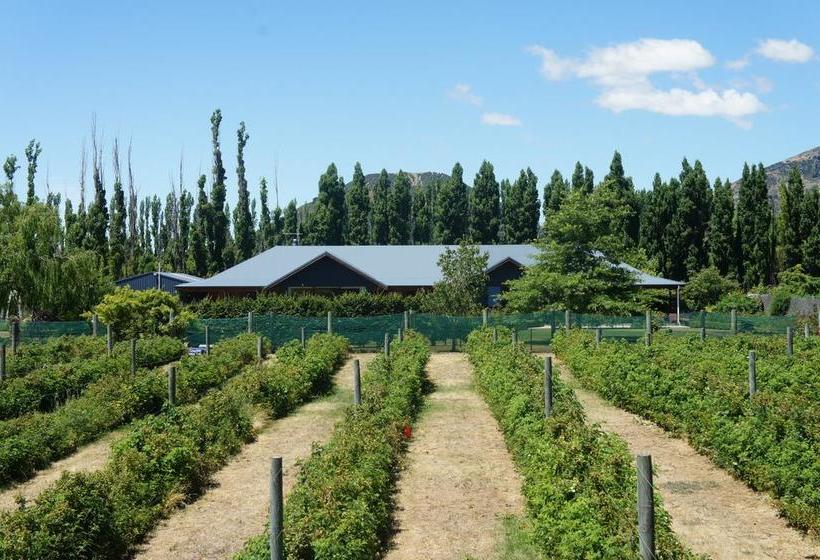 Wanaka Berry Farm And B&b