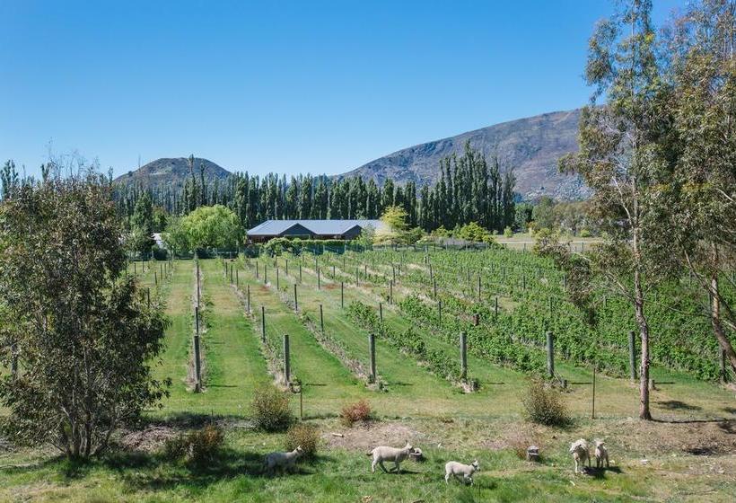 Wanaka Berry Farm And B&b