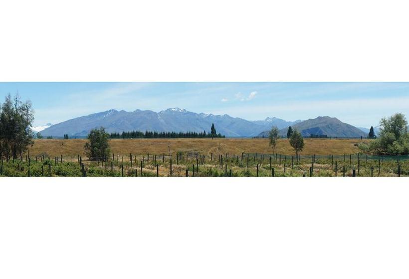 Wanaka Berry Farm And B&b