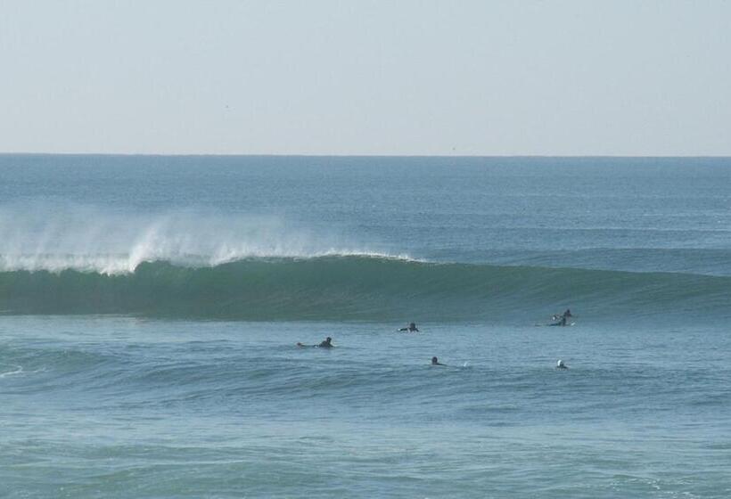 Zambeachouse   Hostel Paradise