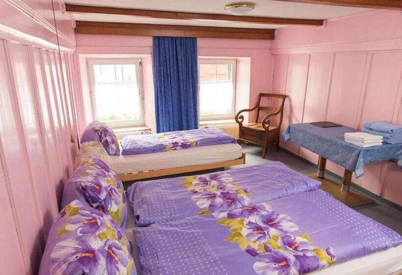 호스텔 Gasthaus Pension Zum Turm