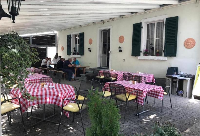 הוסטל Hasli Lodge