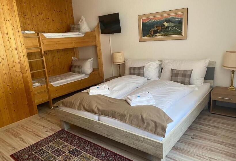 הוסטל Hasli Lodge