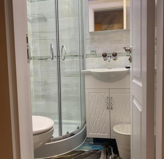 הוסטל Hasli Lodge