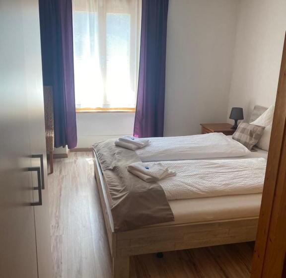 הוסטל Hasli Lodge