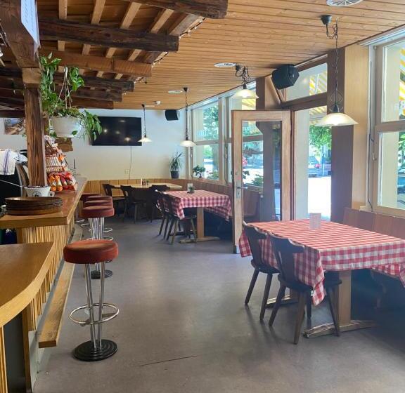 הוסטל Hasli Lodge