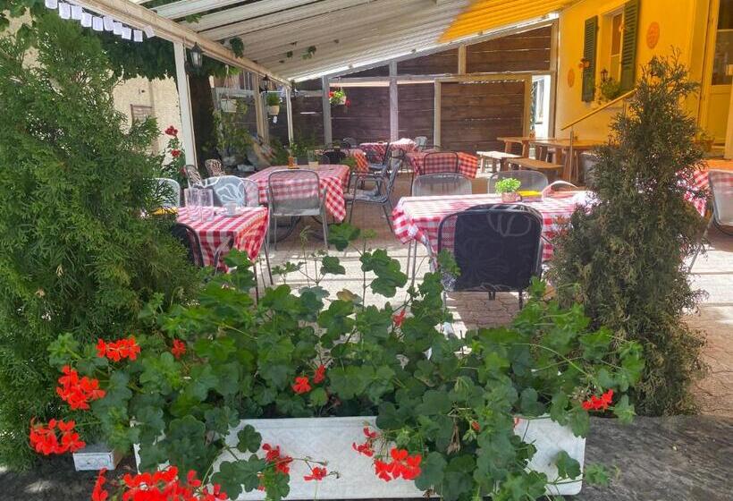 הוסטל Hasli Lodge