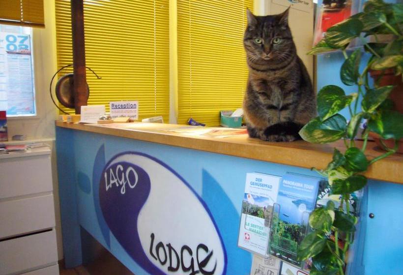 Swiss Hostel Lago Lodge