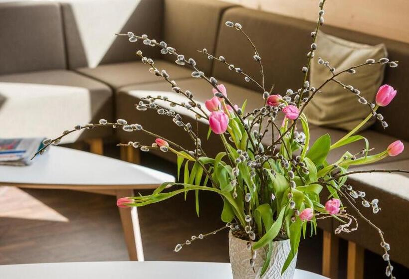 旅馆 Nova Casa Spinatscha Sedrun