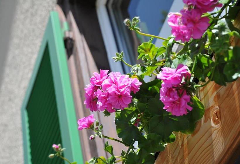 הוסטל Pensiun Trais Piz