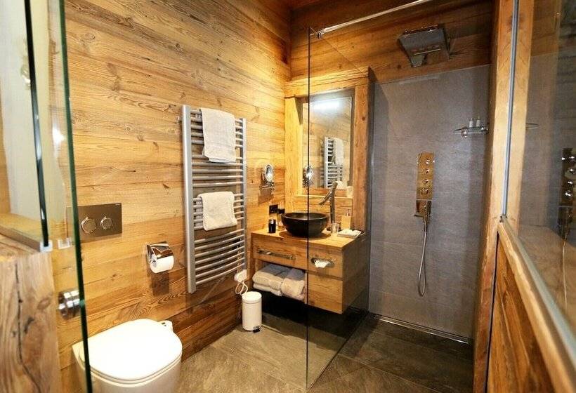 Amber Ski In/out Hotel & Spa