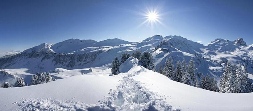 Aparthotel Edy Bruggmann Ag