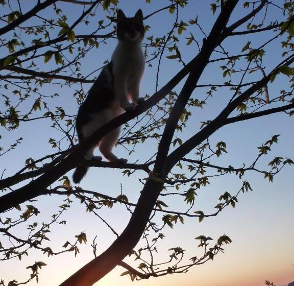 B&b Sunnesite Pratteln