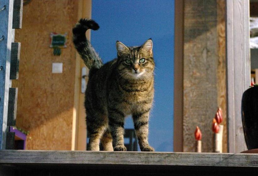 B&b Sunnesite Pratteln