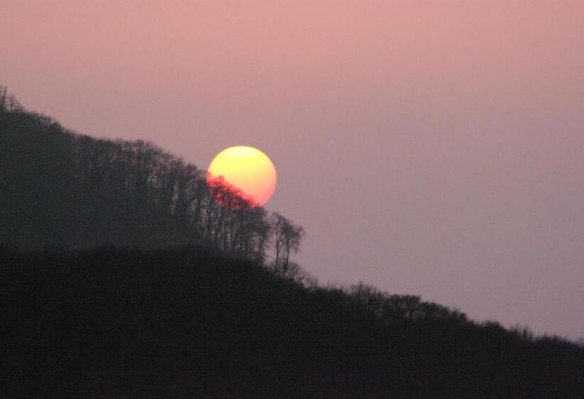 B&b Sunnesite Pratteln