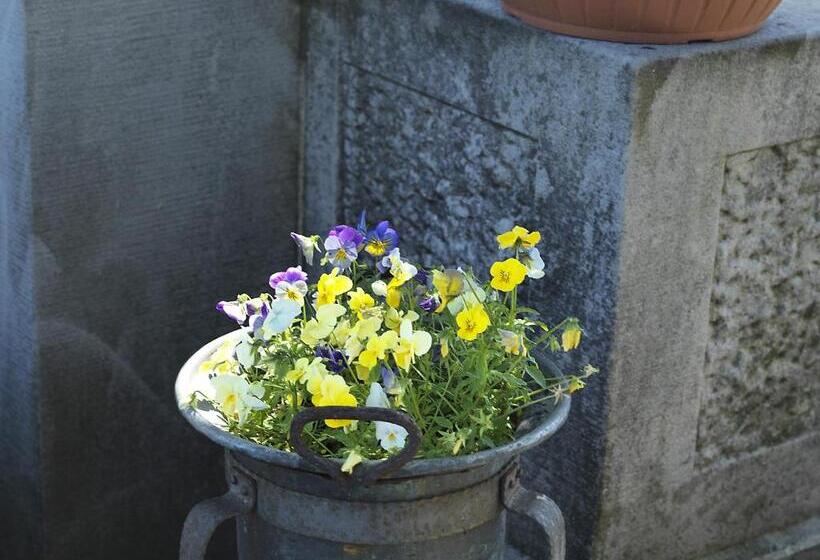 住宿加早餐 Alpenheim