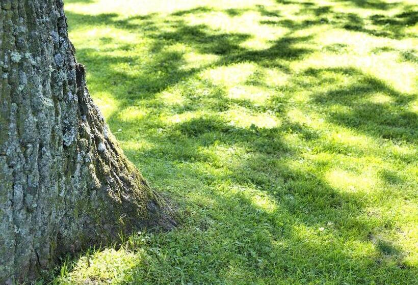 住宿加早餐 Alpenheim