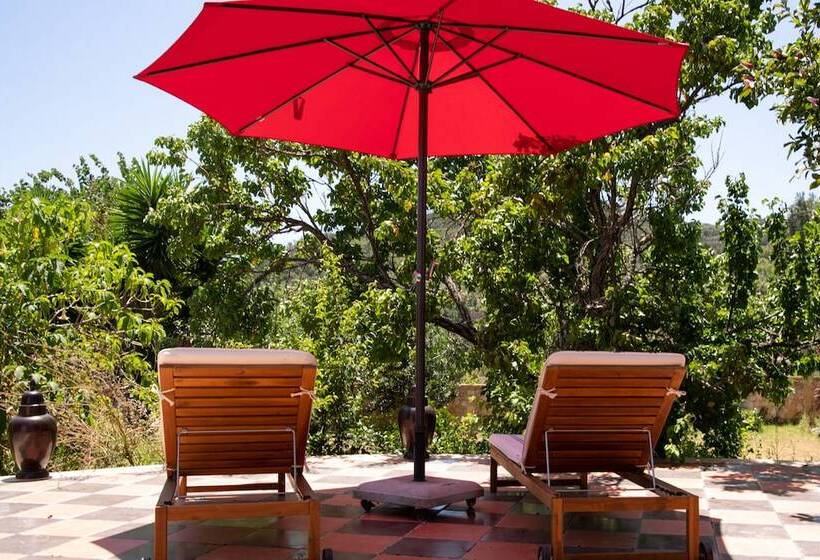 مبيت وإفطار Casa Spa D Alma