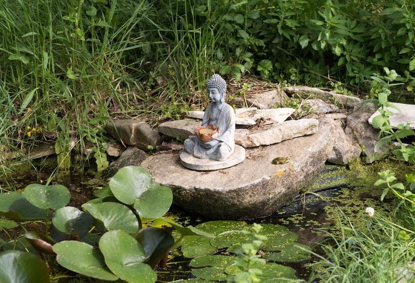 住宿加早餐  Casa Spa D Alma