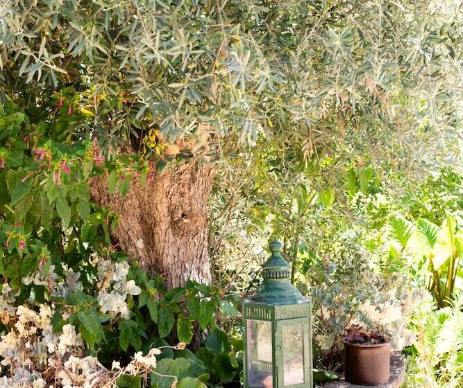 住宿加早餐  Casa Spa D Alma