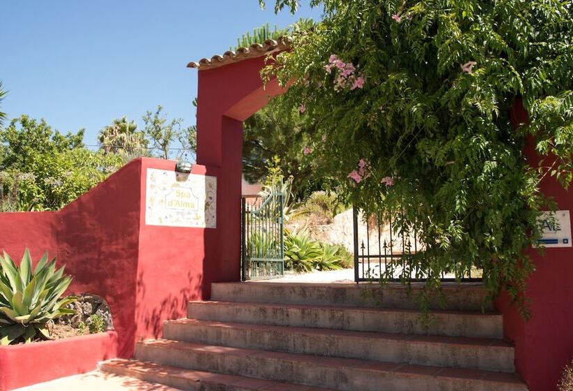 住宿加早餐  Casa Spa D Alma