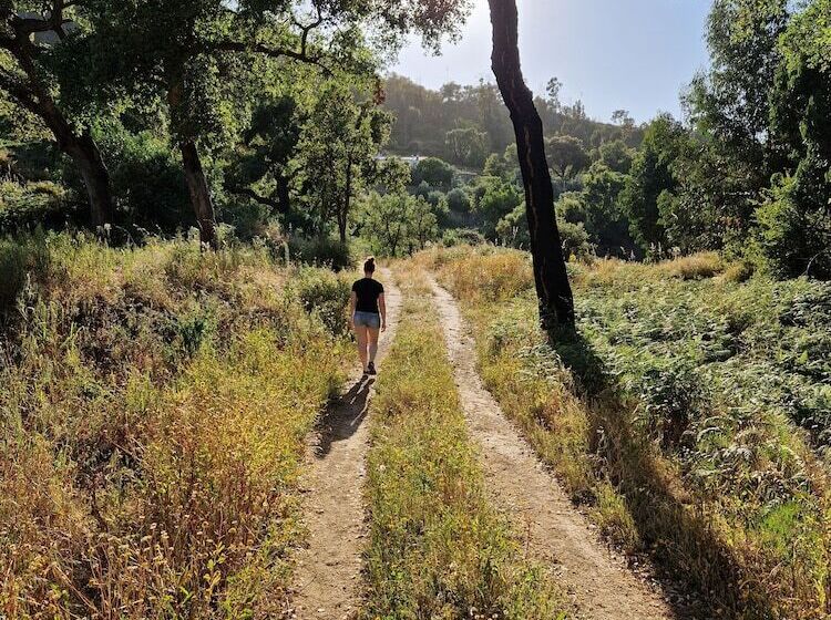 住宿加早餐  Casa Spa D Alma