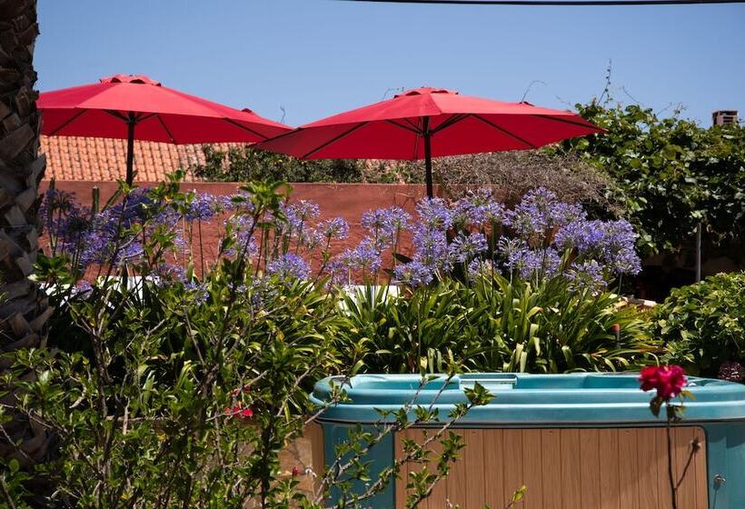 住宿加早餐  Casa Spa D Alma