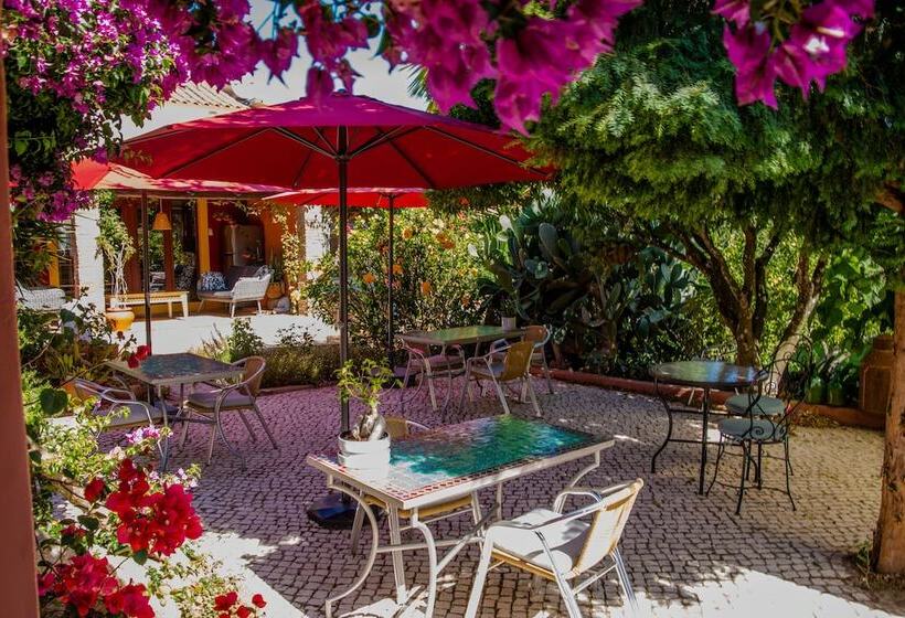 住宿加早餐  Casa Spa D Alma