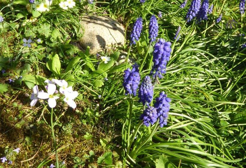 住宿加早餐 Chez Jean Et Daisy