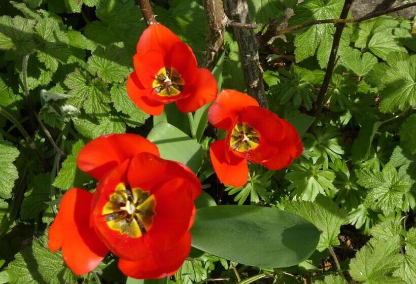 住宿加早餐 Chez Jean Et Daisy