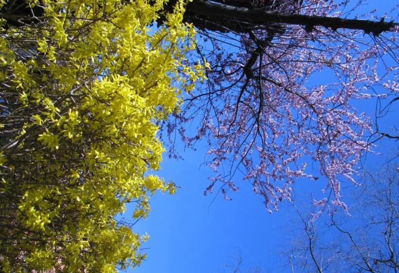 住宿加早餐 Chez Jean Et Daisy