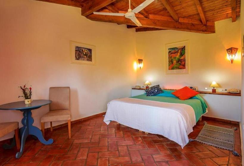 住宿加早餐 The New Laziness